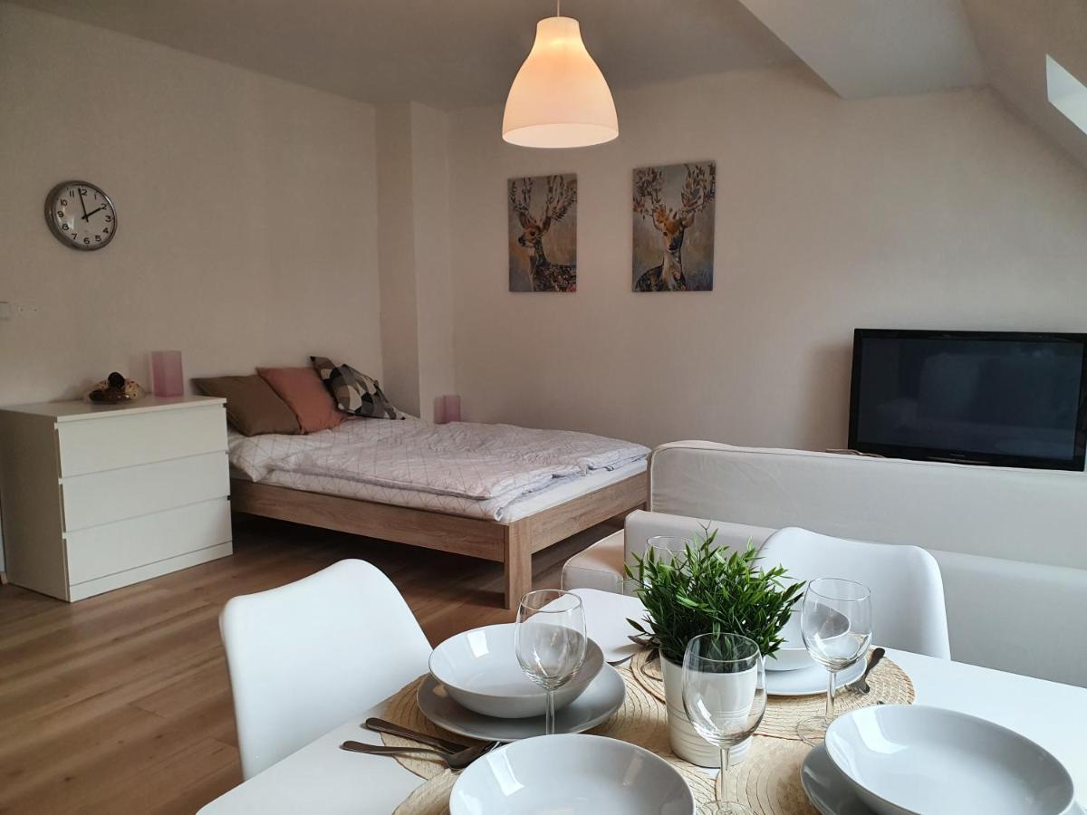Apartmany Brachovna Mikulov v Krusnych Horach ภายนอก รูปภาพ