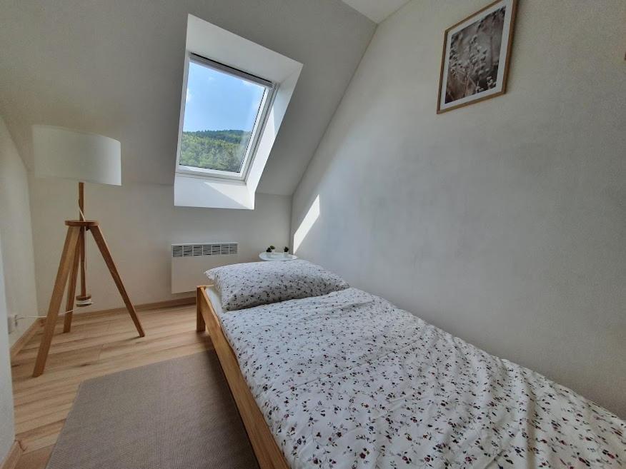Apartmany Brachovna Mikulov v Krusnych Horach ภายนอก รูปภาพ